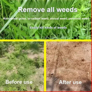 High Concentration Glufosinate Herbicide ( BUY 1 GET 1 FREE )