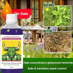 High Concentration Glufosinate Herbicide ( BUY 1 GET 1 FREE )